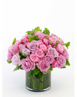 Houston Rose Elegance