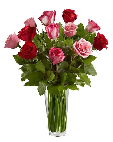 One Dozen Pink & Red Roses Flower Arrangement