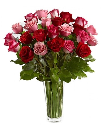 Two Dozen Red & Pink Roses Flower Arrangement